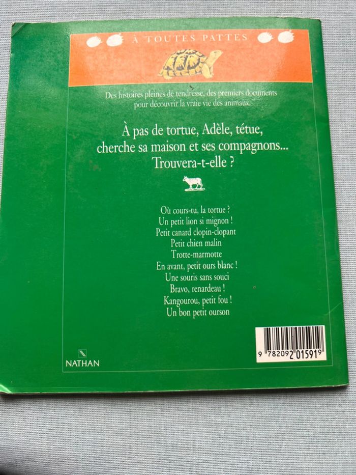 Où cours tu la tortue ? - photo numéro 2