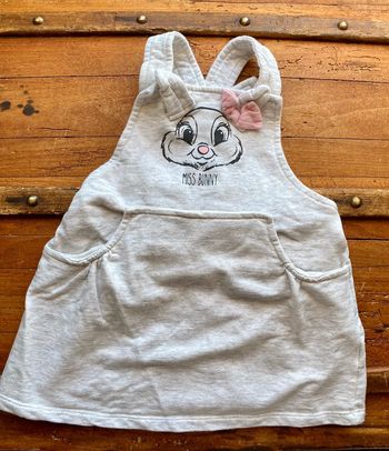 Robe Disney