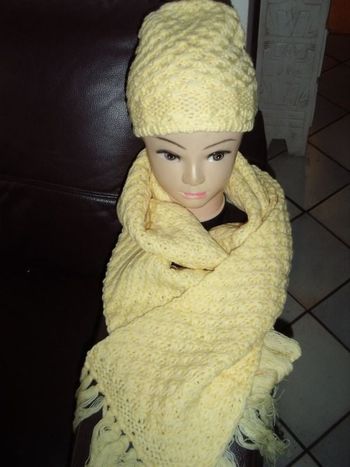 ensembe bonnet + écharpe NEUF