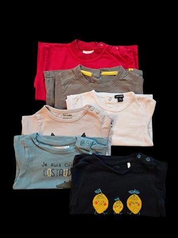 LOT de 6 Tee-shirt / 9 mois