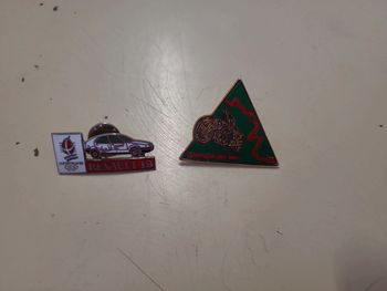 Pins R19 Albertville 92 Sainte Hélène 91