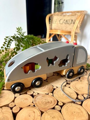 Camion multiforme JANOD bois animaux formes 