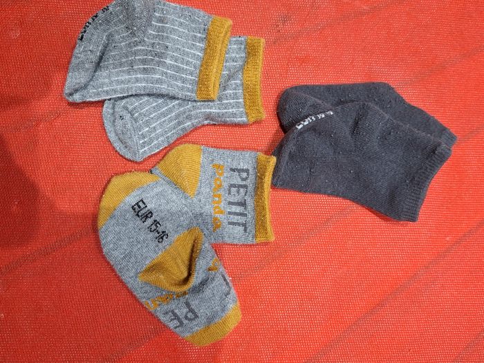 Lot 3 paires de chaussettes vertbaud