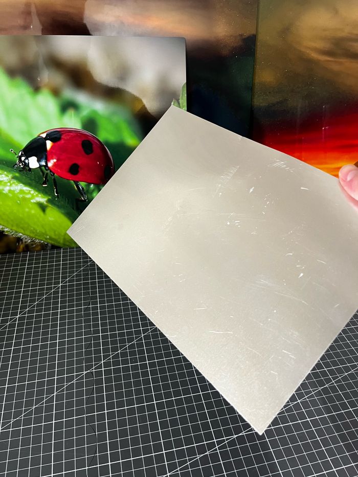 Poster en métal lion - photo numéro 3