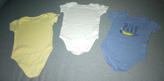 Lot 3 body courtes manches 12mois en TBE - photo numéro 2