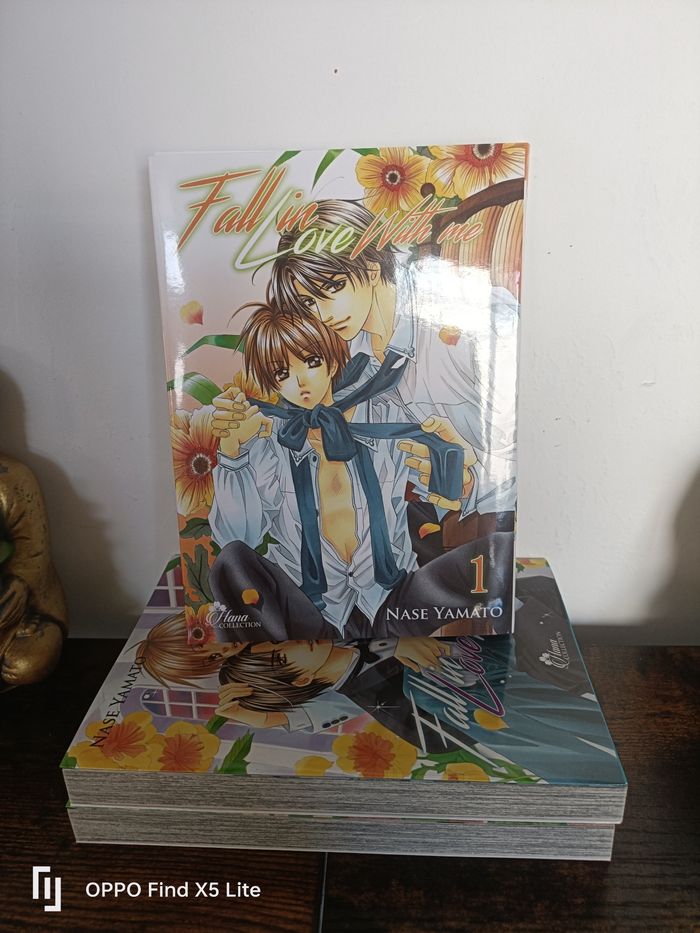 Manga yaoi - photo numéro 9