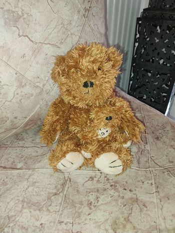 Duo d'oursons / Ours en peluche by Lulu Castagnette état neuf