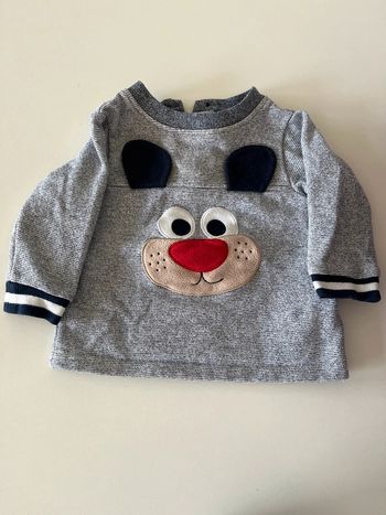 Pull chien