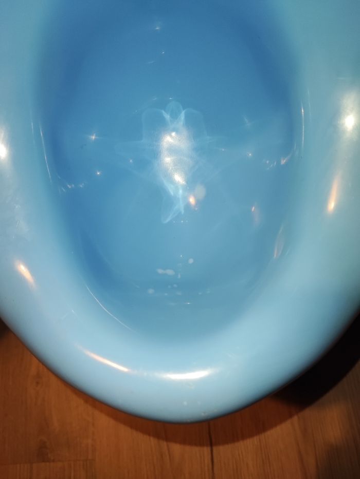 Pots  de toilette - photo numéro 4
