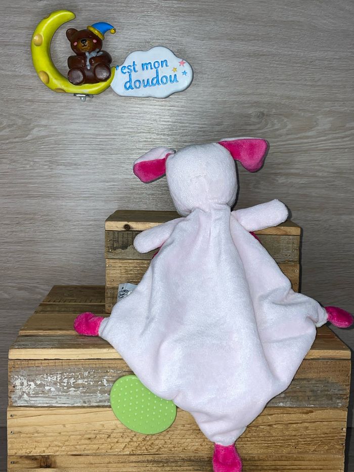 INF21 doudou chien 🐶 influx - photo numéro 2