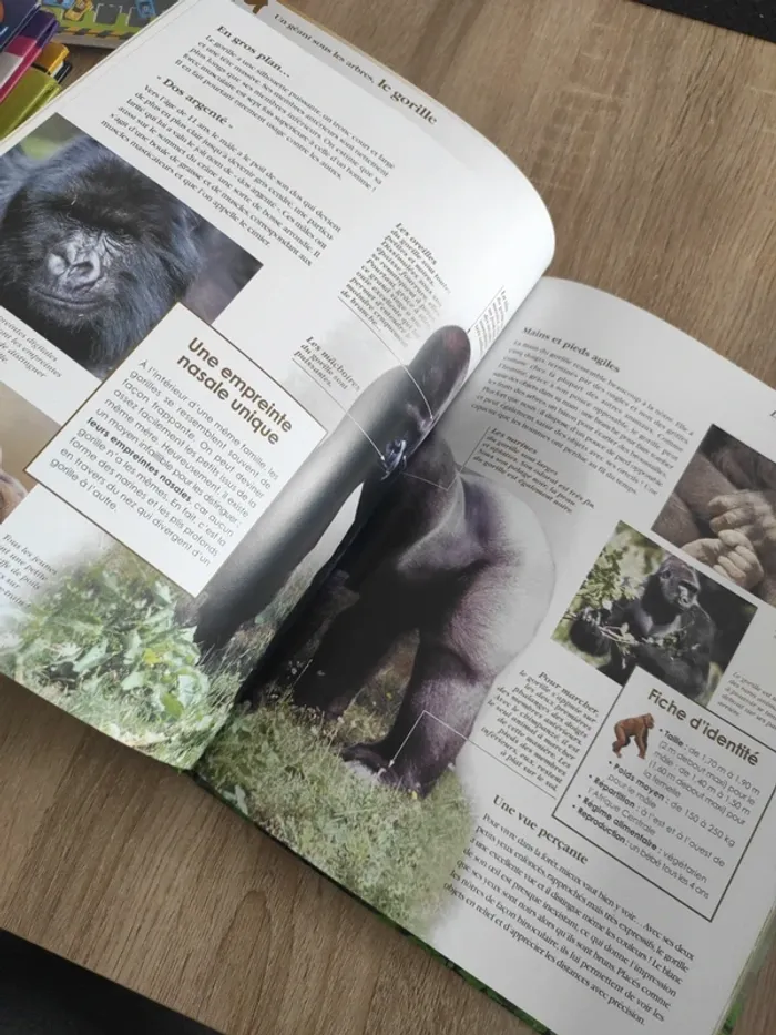 Livre édition atlas le gorille - photo numéro 4