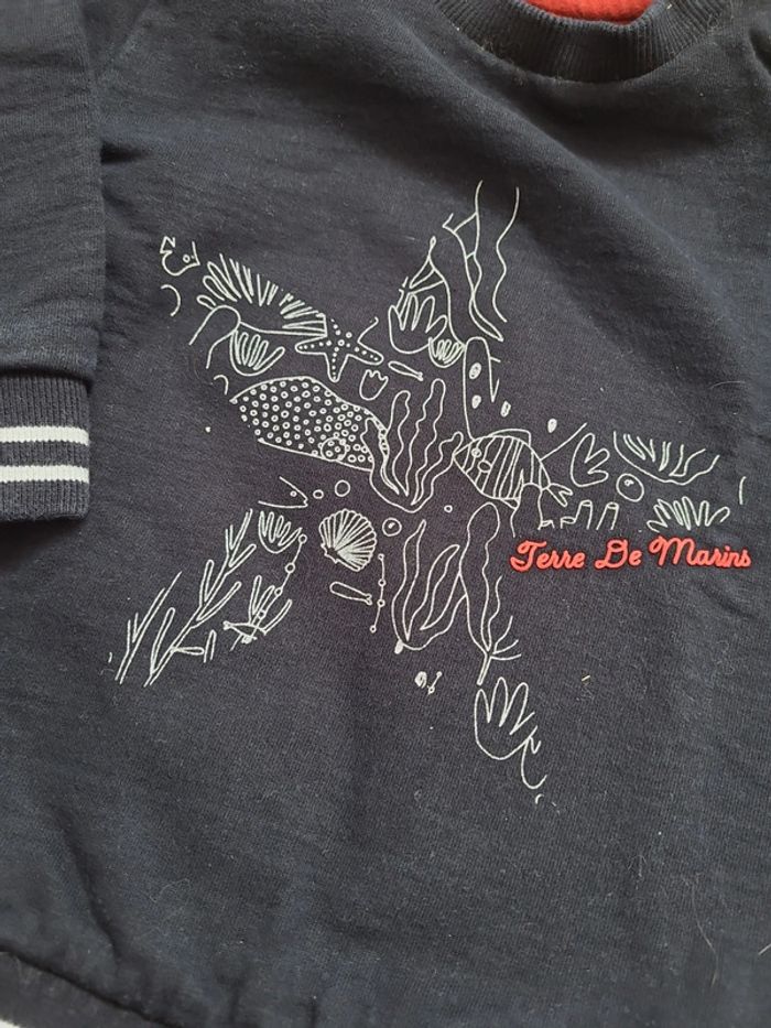 Sweat terre de marins - photo numéro 2