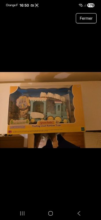 Sylvanian train rainbow