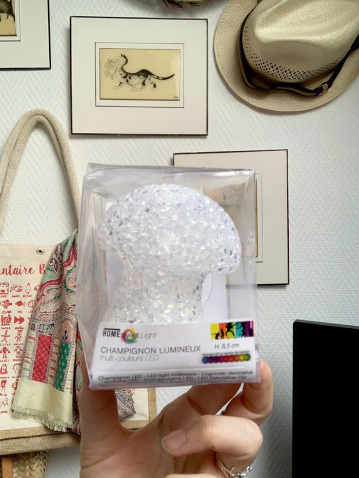 Petit Champignon lumineux LED multicolore - photo numéro 4