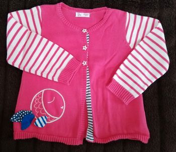 Magnifique gilet dpam