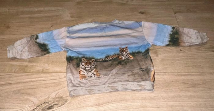 Pull tigre enfant - photo numéro 2