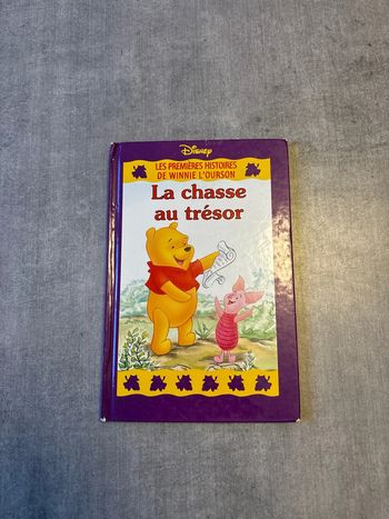 Livre Disney les premières histoires la chasse au trésor