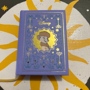 Livre Disney petit format 