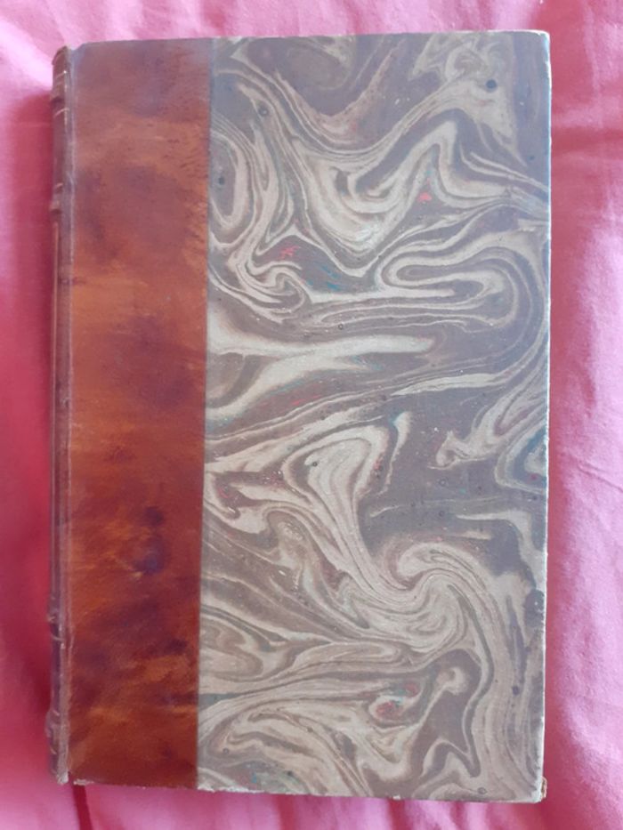 Le merveilleux voyage de Nils Holgersson - Selma Lagerlof