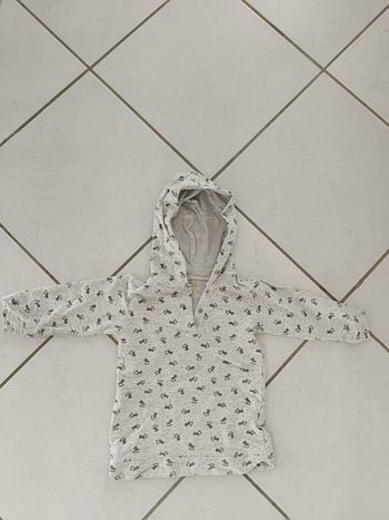 haut manches longues a capuche garçon 18 mois gris
