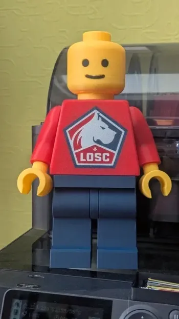 Figurine briques LOSC 3D (20cm) - Le Dogue qui vous manquait !