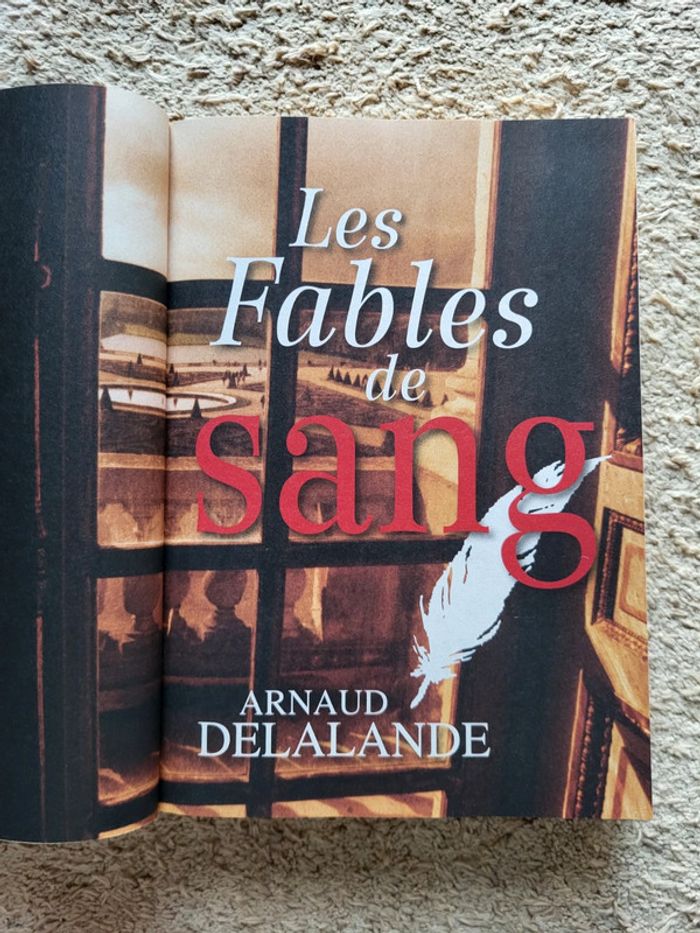 Sélection de 4 romans thriller, suspens et saga - photo numéro 6