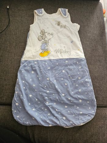 Gigoteuse disney 0 6 mois