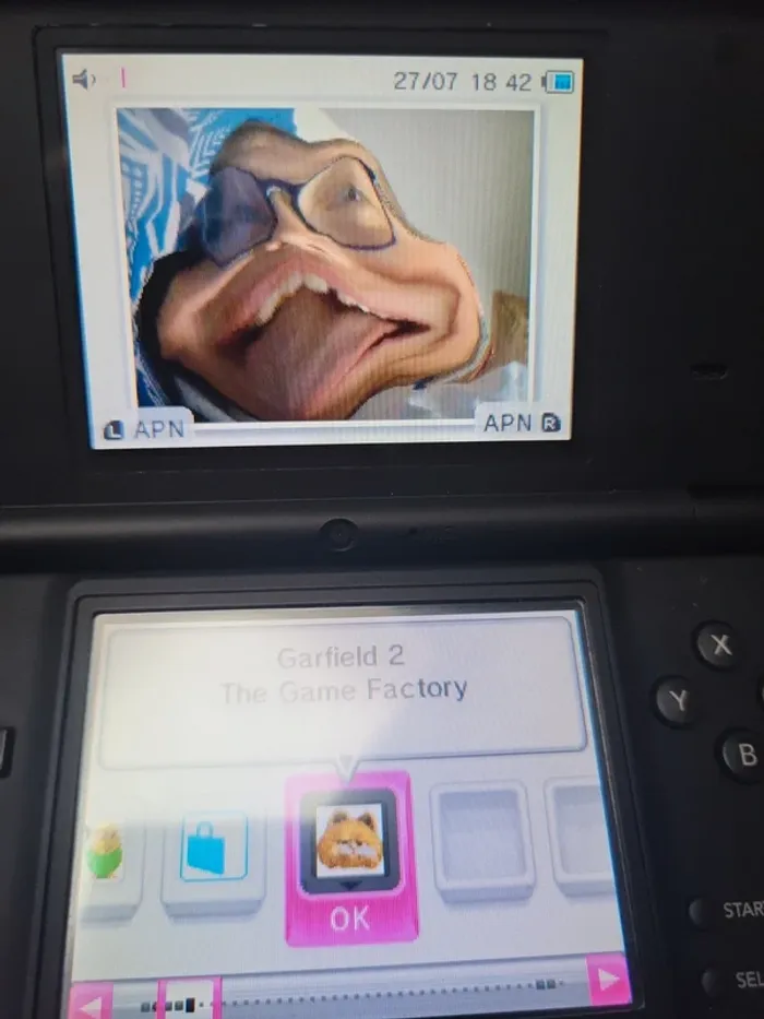 Jeux DS - photo numéro 3