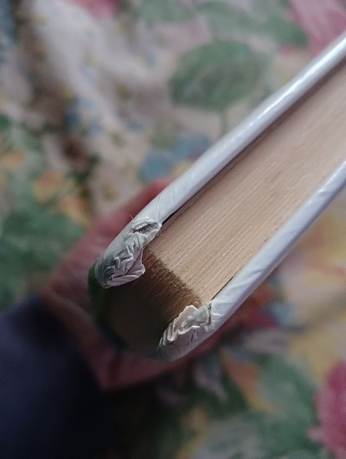 L'imagerie des bébés. - photo numéro 5