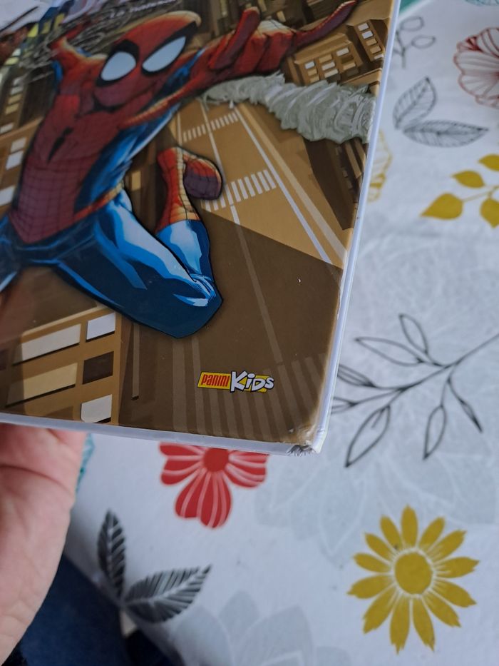 Spiderman la naissance d un héros - photo numéro 6