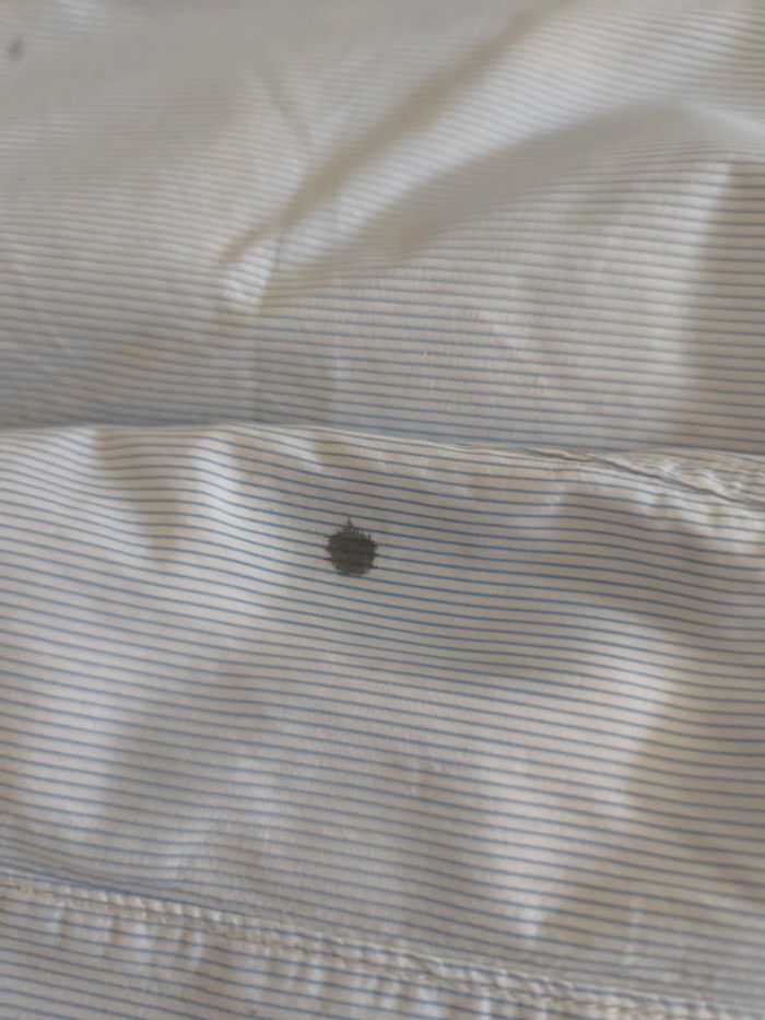 Chemise rayures Lévis S - photo numéro 4