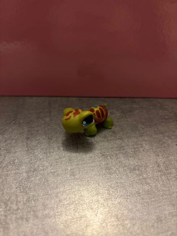 Figurine, PetShop, tortue c-031