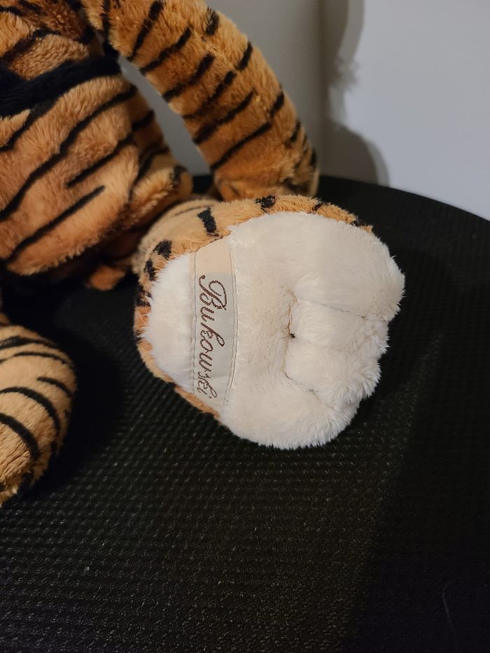 tigre - photo numéro 3