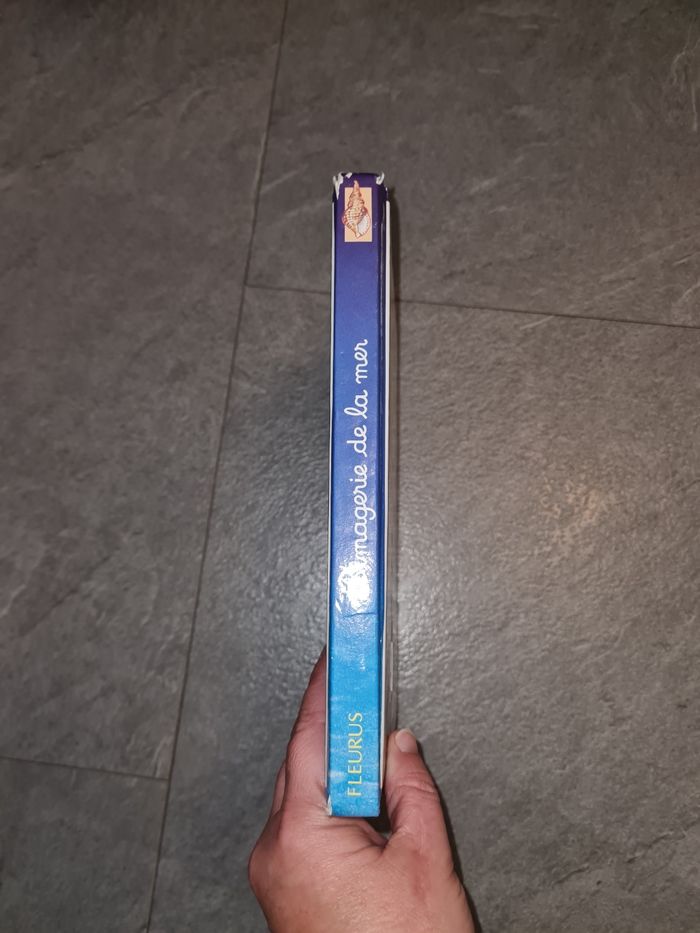 Livre l'imagerie de la mer à couverture est abîmé voir photo - photo numéro 2