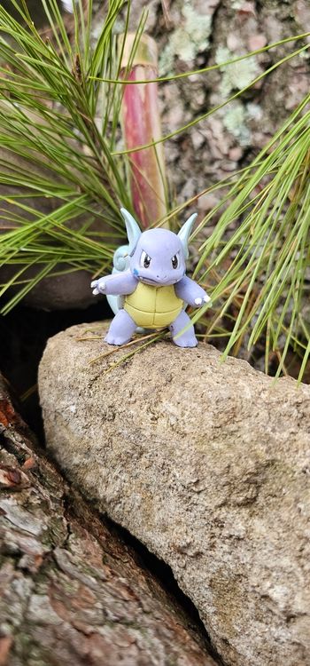 Super figurine Pokemon Nintendo tomy Carabaffe