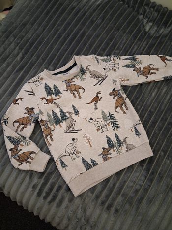 Pull à motifs dinosaures 6 ans 