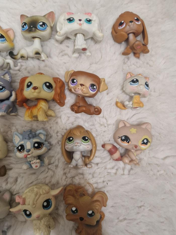 Lot de 23h petshops - photo numéro 3