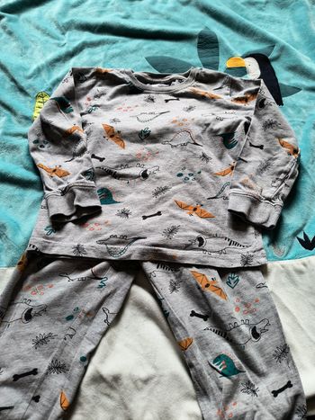 Pyjama dinosaures