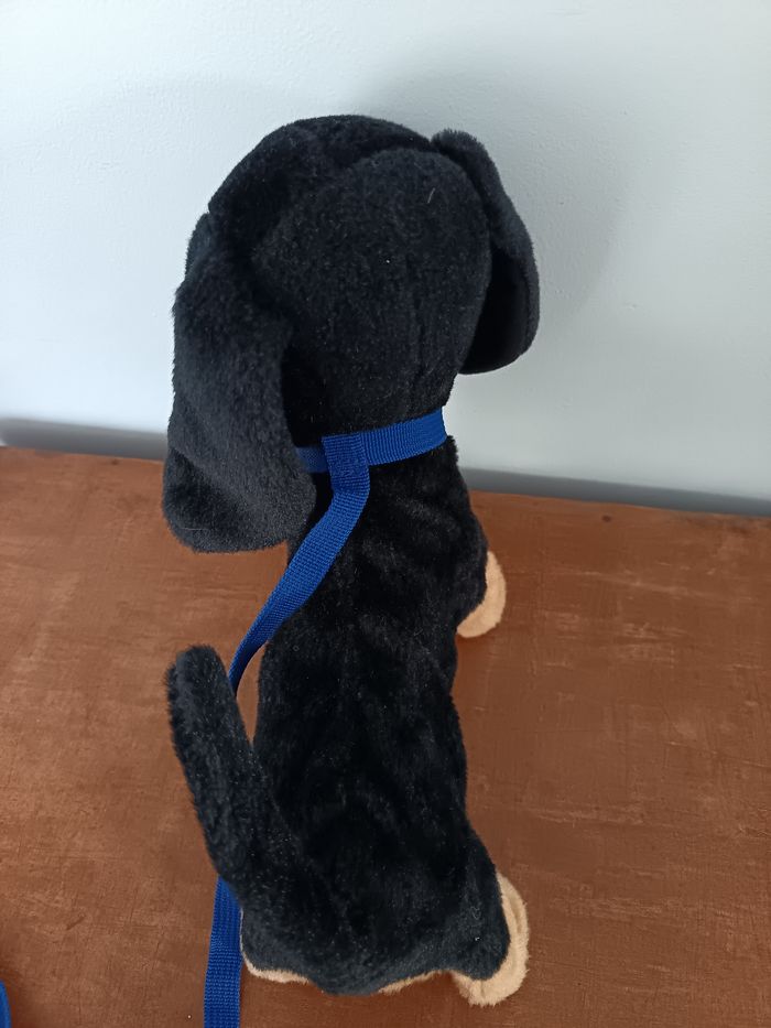 Waggles en balade Animagic-Chien - photo numéro 5