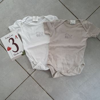 Lot de 2 bodies manches courte taille 3 mois