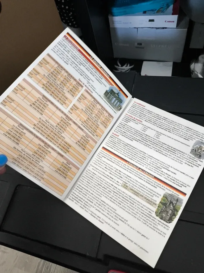 Lot de 3 petits guides l'allemand - photo numéro 3