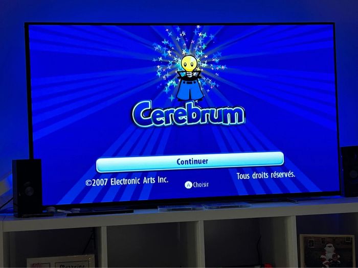 Jeu de wii cerebrum - photo numéro 8