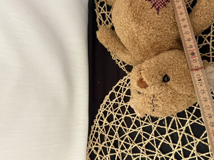 Peluche ours, Nobody's Perfect bukowski - photo numéro 4