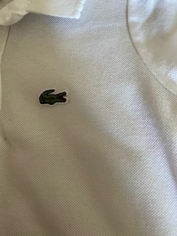 Magnifique polo neuf Lacoste 5 ans blanc - photo numéro 3