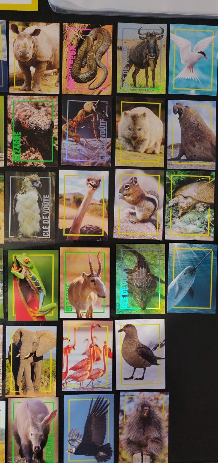 Lot classeur / album incroyables animaux + 64 cartes - photo numéro 4