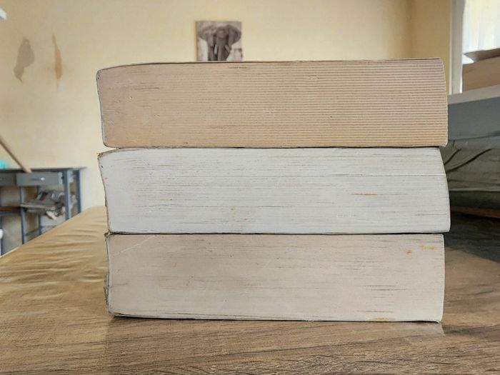 Trilogie livres brochés Le Labyrinthe : l'épreuve, la terre brûlée et le remède mortel - photo numéro 6
