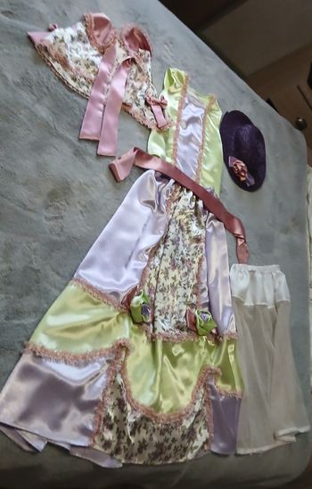 Déguisement Caroline Du Sud