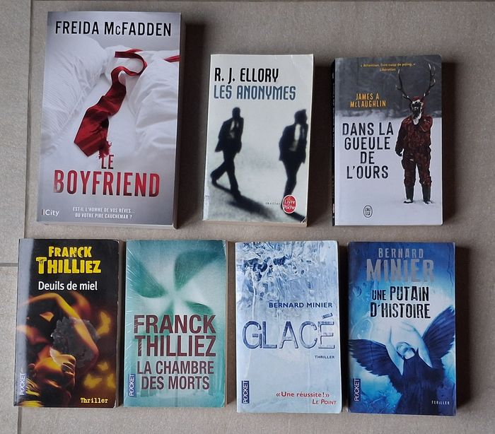 Lot de 7 Thrillers dont Le Boyfriend de Freida McFadden