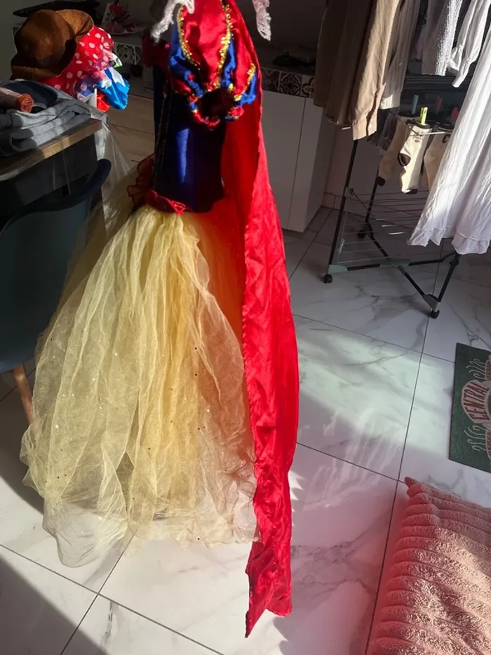 Déguisement Blanche Neige - photo numéro 18
