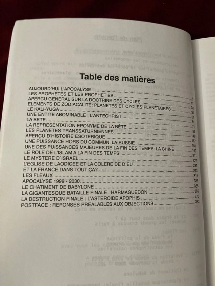 Introuvable sur Vinted et épuisé en librairie ! Livre ésotérique - photo numéro 5